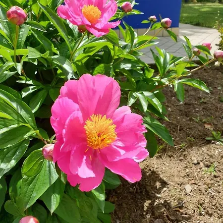 Villaggio Mithos Πάρκο διακοπών Misano Adriatico