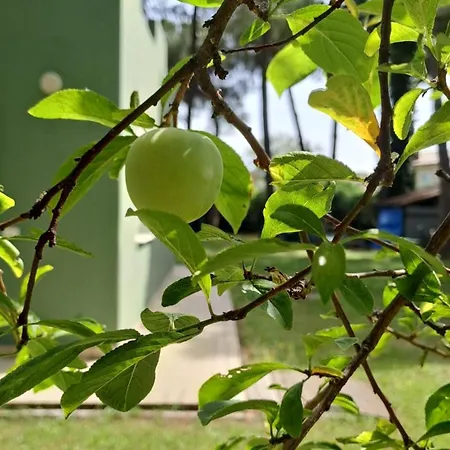 Villaggio Mithos Misano Adriatico