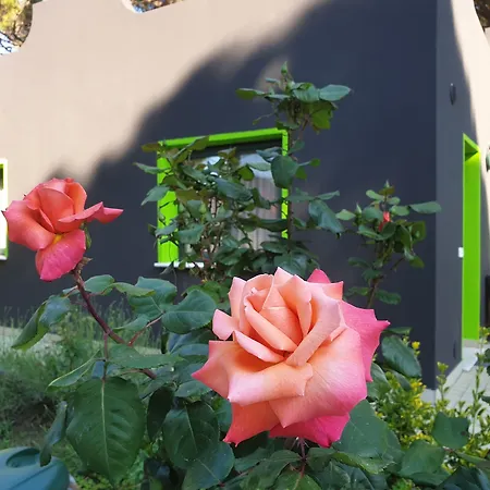 Villaggio Mithos 3* Misano Adriatico