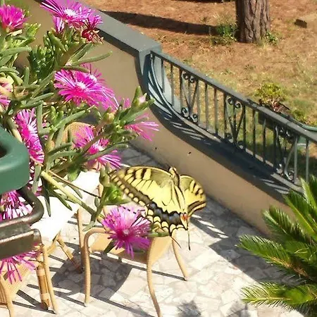 Villaggio Mithos 3* Misano Adriatico