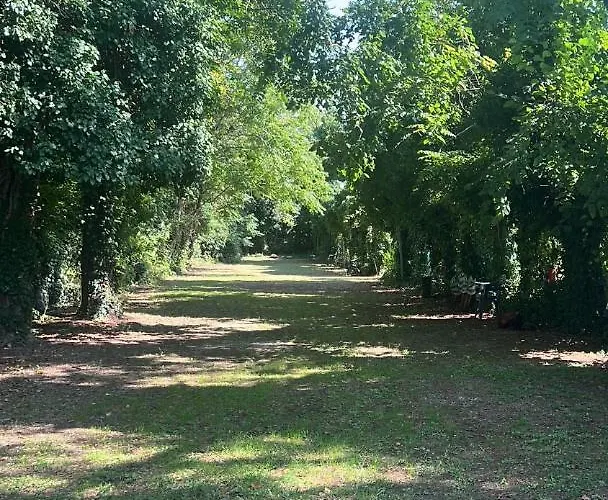 Villaggio Mithos Misano Adriatico