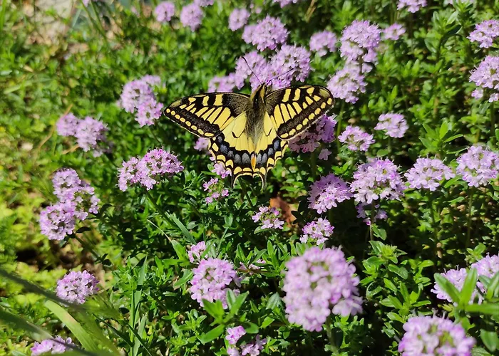 Ferienpark Villaggio Mithos Misano Adriatico