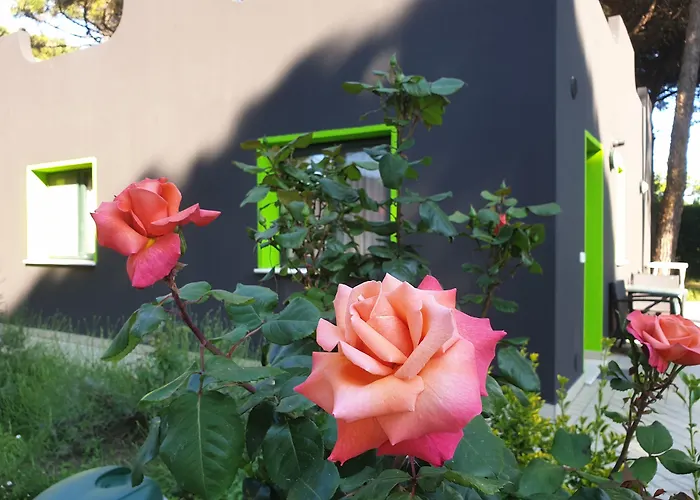 Villaggio Mithos 3* Misano Adriatico